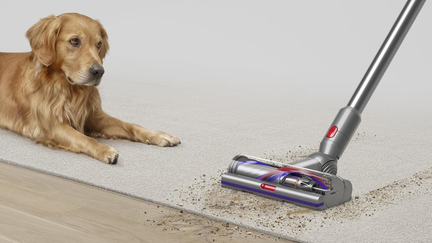 Dyson V15 Detect